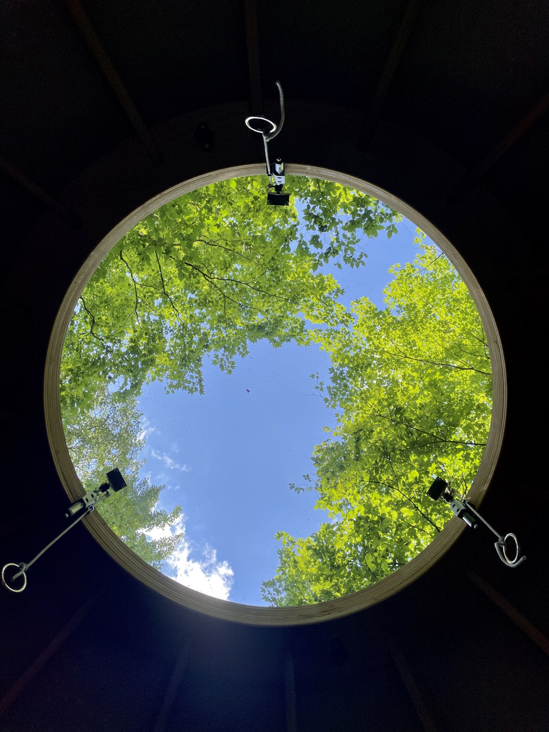 Really cool plexiglass sky dome. Lifts up and down for more air flow