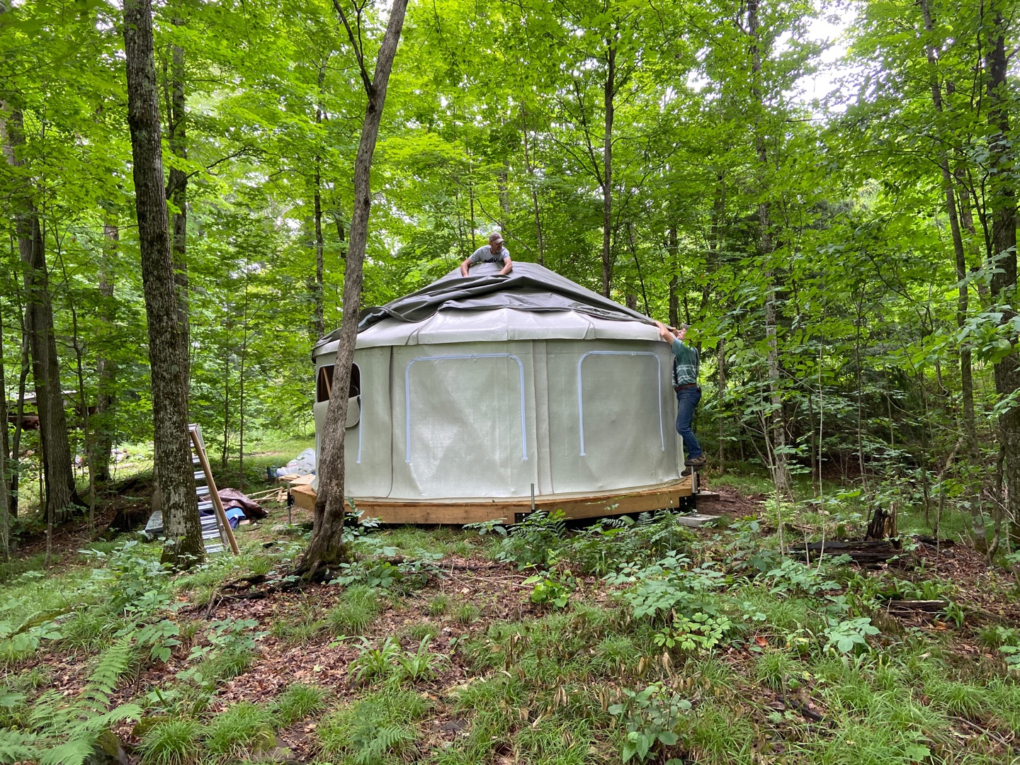 View from the back of us draping the roof canvas